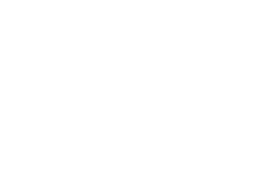 KODIT NEST